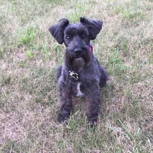 Meet your Posher, Vicki